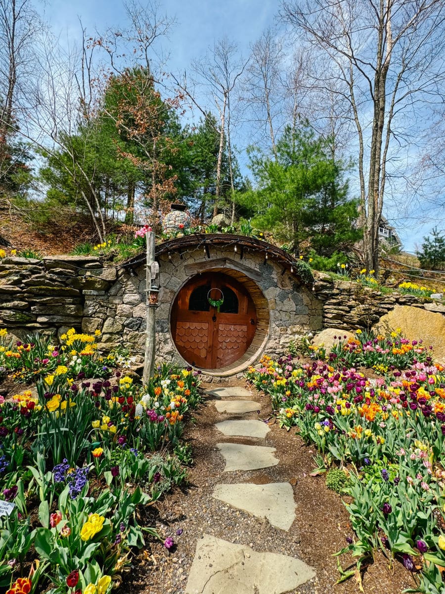 Tulips in front of the Hobbit House at the Preserve RI