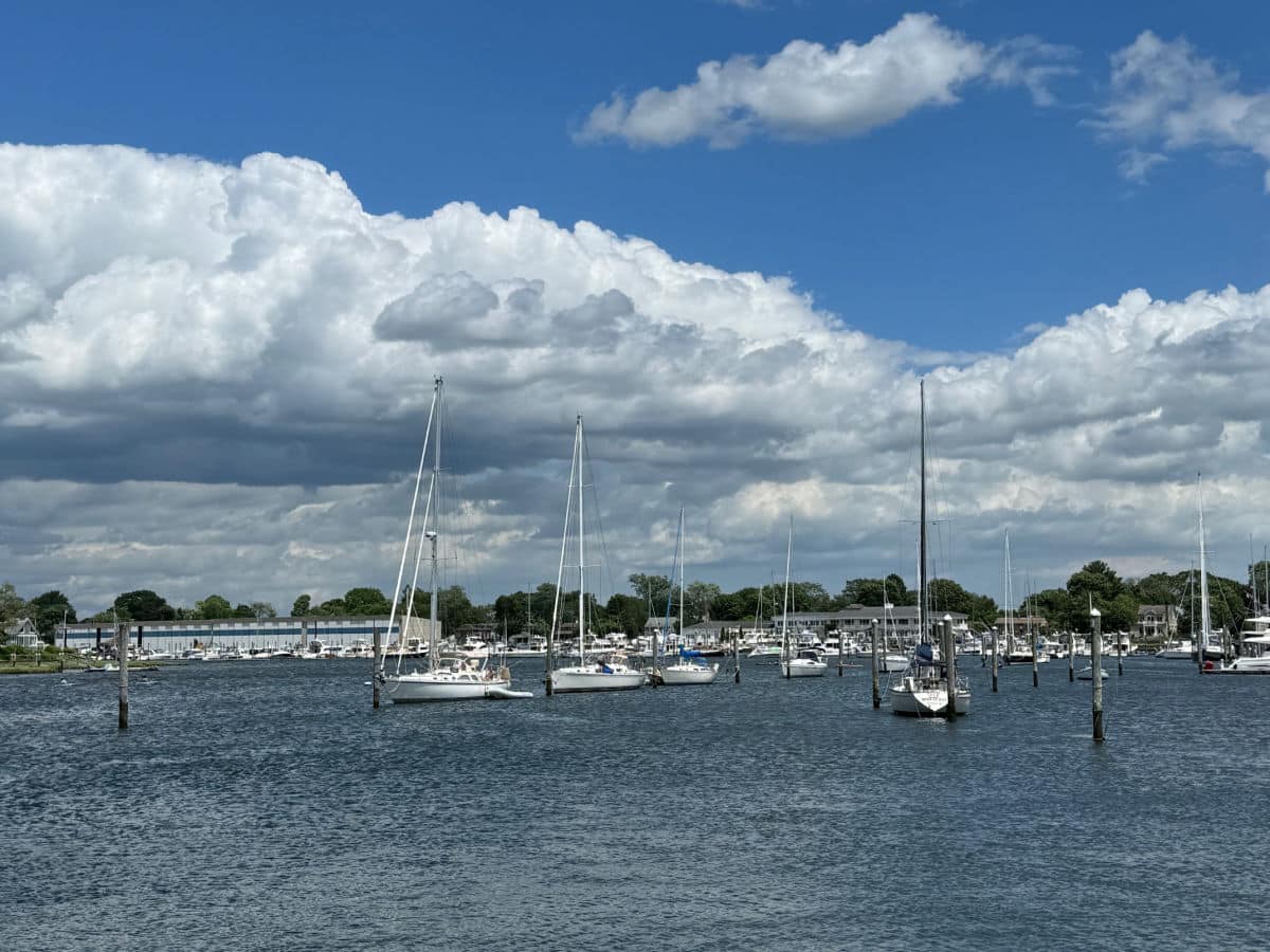 Wickford Harbor sailboats