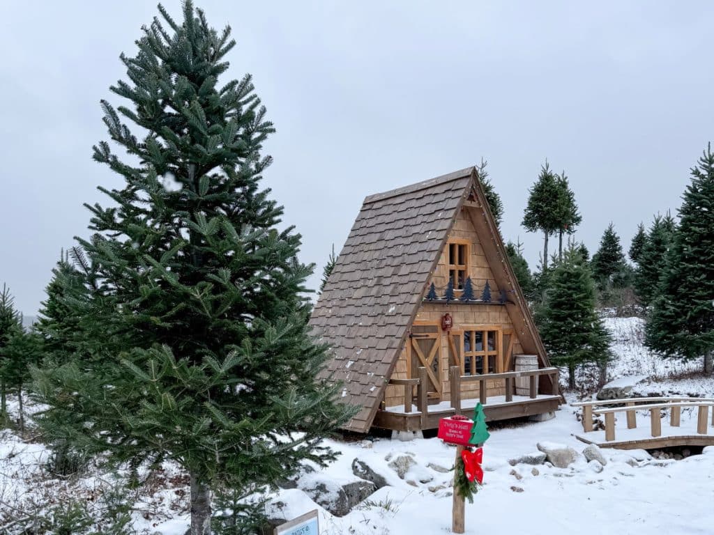 Twigs Chalet in New Ross Nova Scotia for Christmas