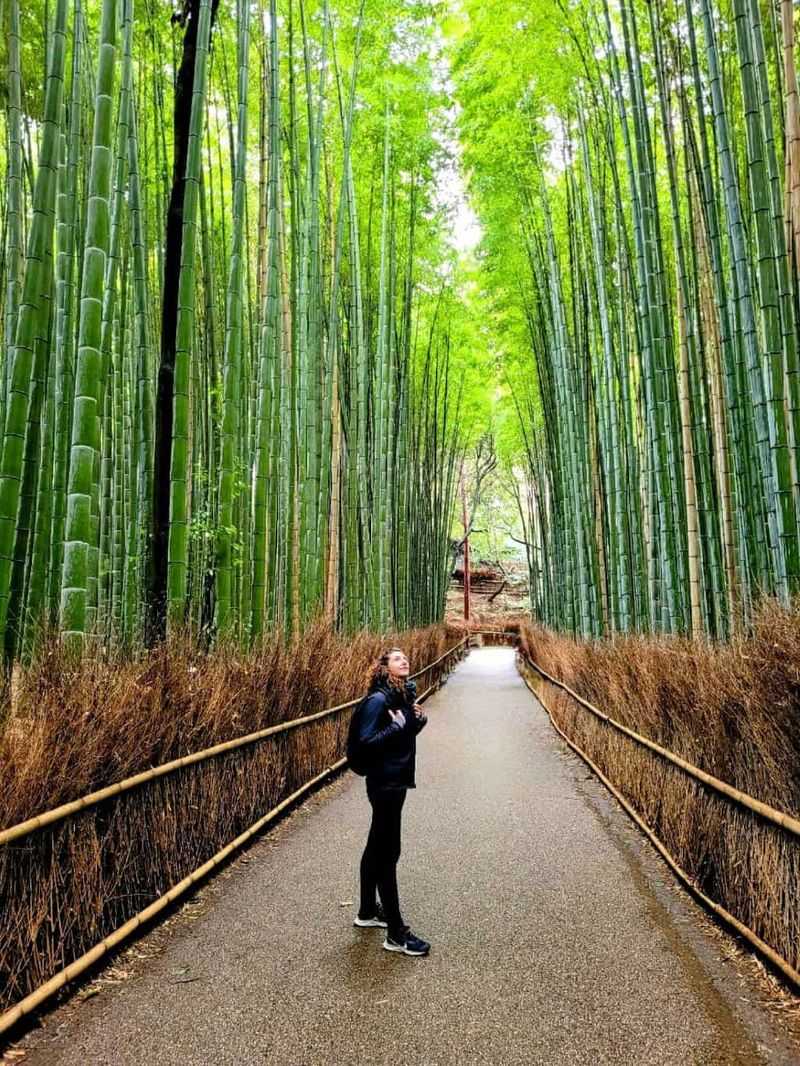 2. Arashiyama Bamboo Grove Walk