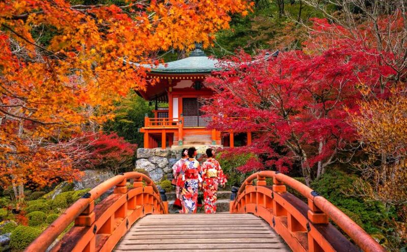 11. Visit Kyoto Botanical Gardens