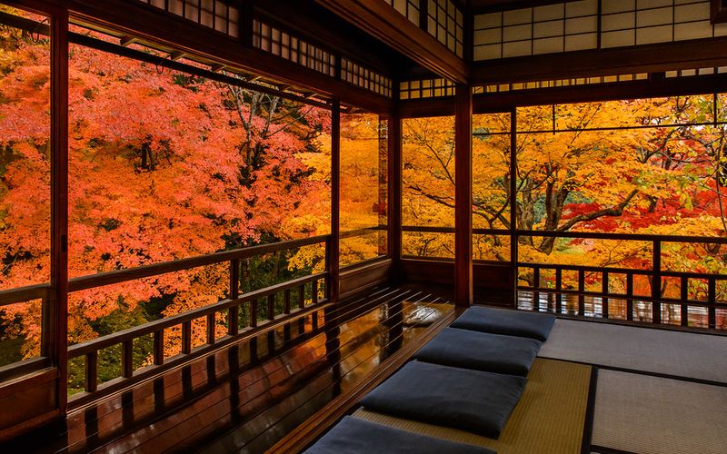 Kyoto's Hidden Temples