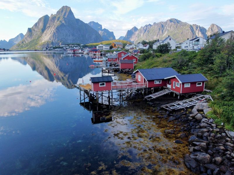Reine