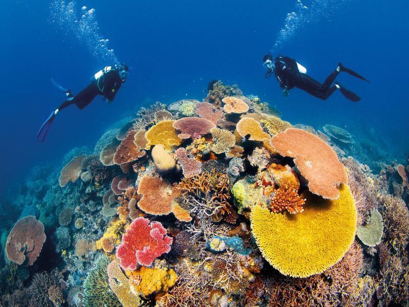 Great Barrier Reef, Australia