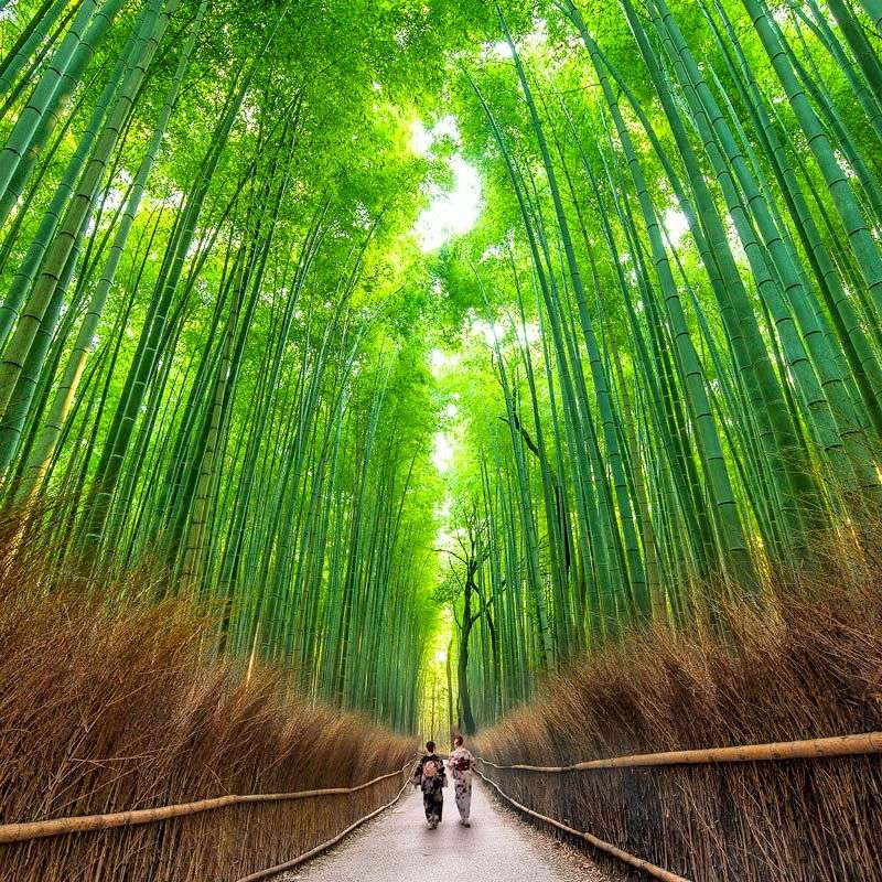 Kyoto, Japan