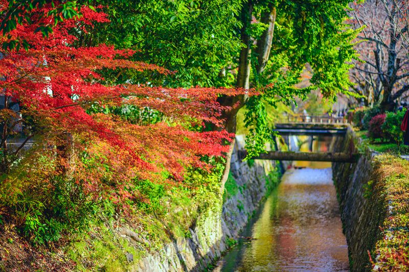 23. Discover the Philosopher's Path in Autumn