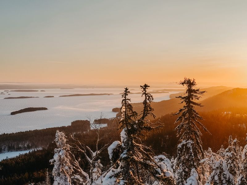 Koli National Park, Finland