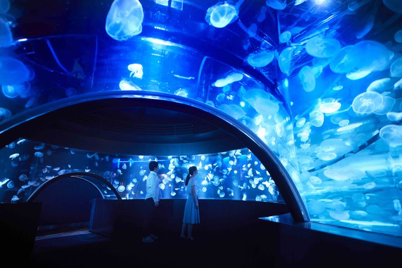 6. Visit the Kyoto Aquarium