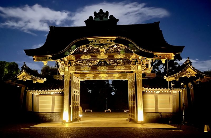 7. Discover Nijo Castle's Night Illumination