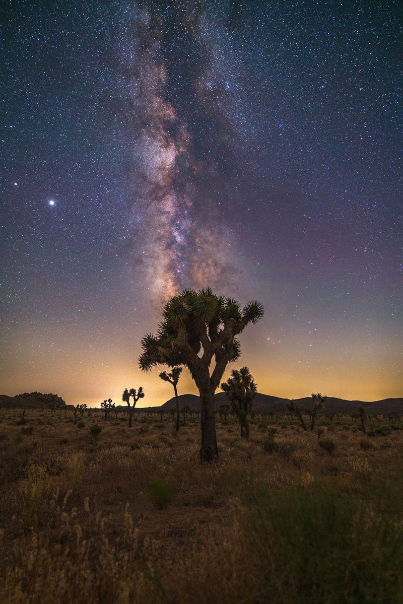 Joshua Tree National Park