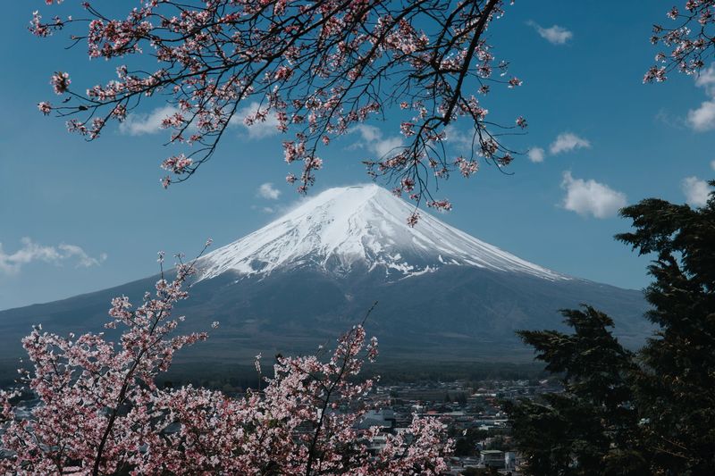 Mount Fuji