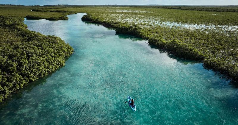 Mangrove Cay, Andros