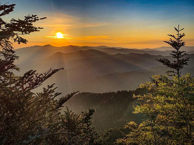 Mount LeConte: A Peak Experience