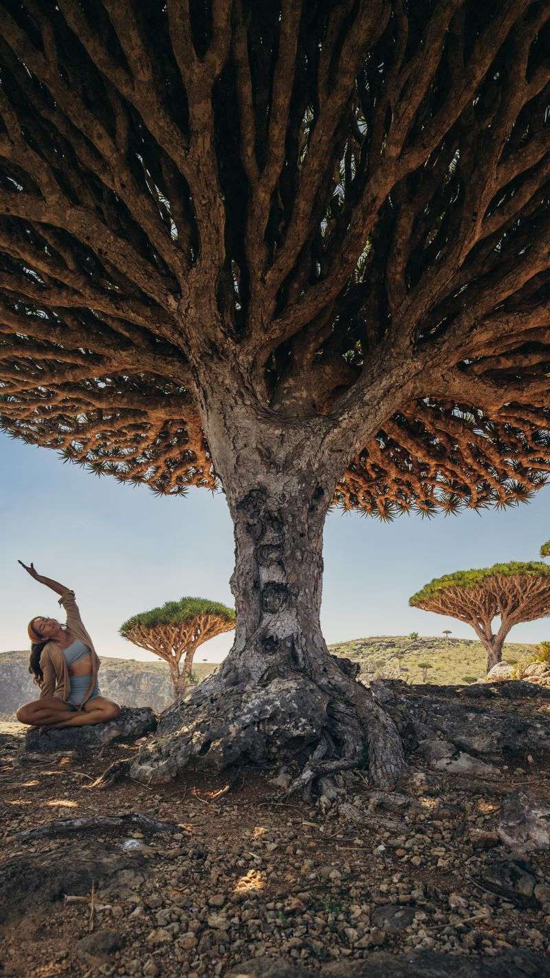 Socotra Archipelago, Yemen