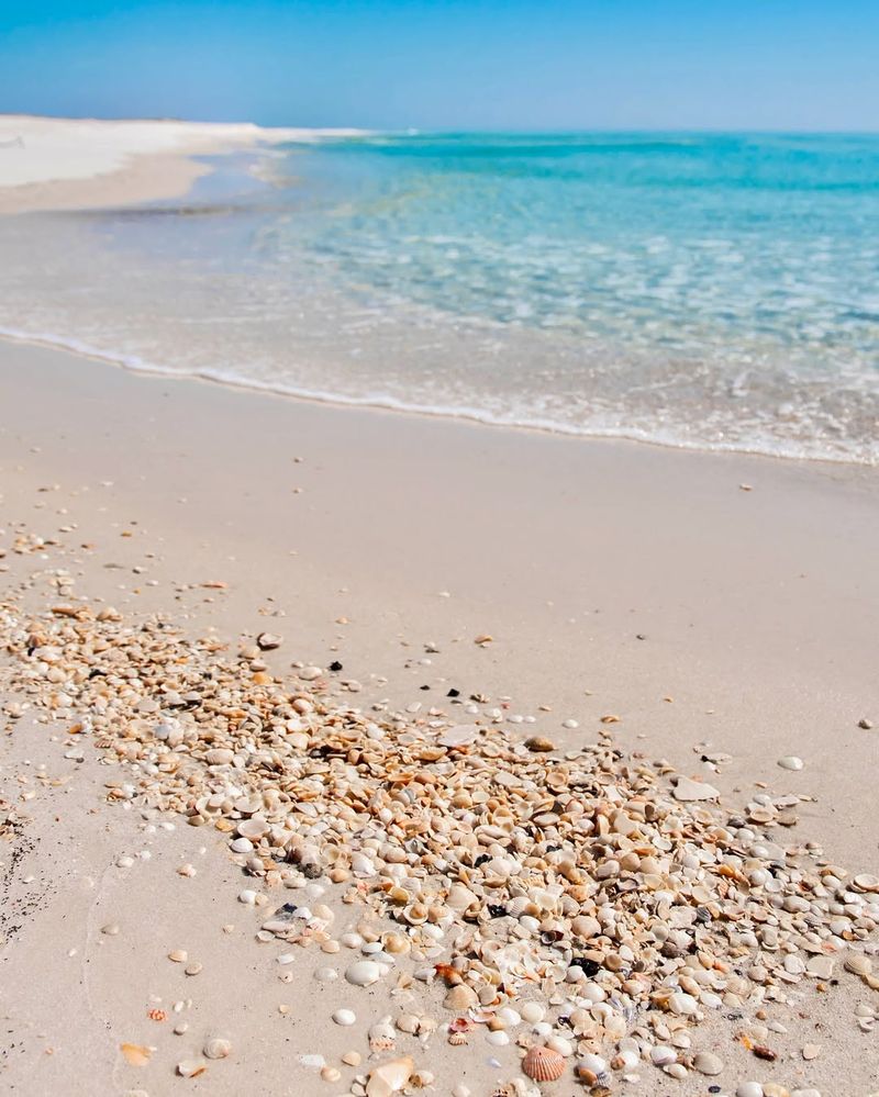 Opal Beach