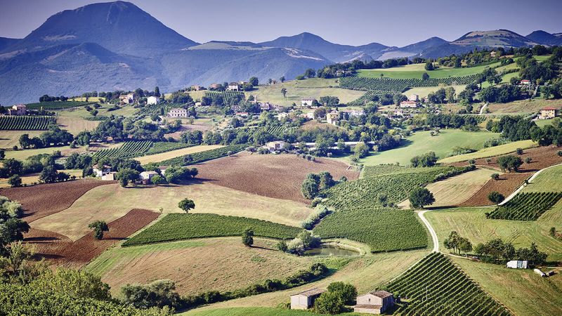 Laid-back Le Marche