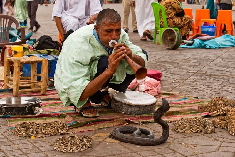 Marrakech Snake Charmers