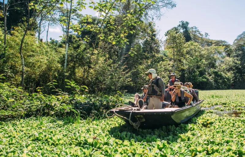 The Amazon Rainforest Expeditions