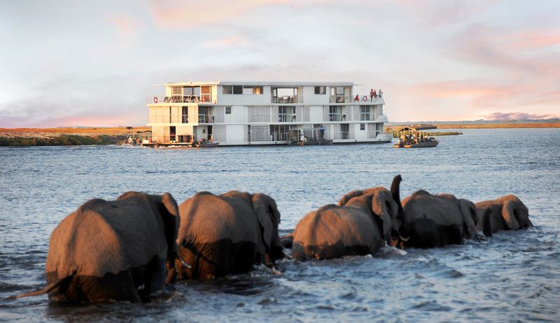 African Safari at Sea