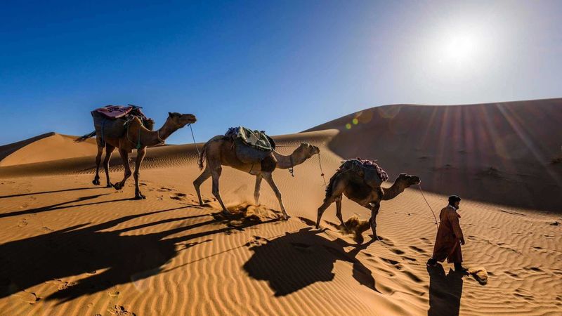 Sahara Desert, Africa