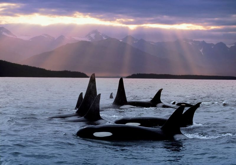 San Juan Islands, Washington