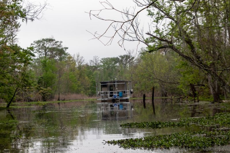 Bayou Country Cruise