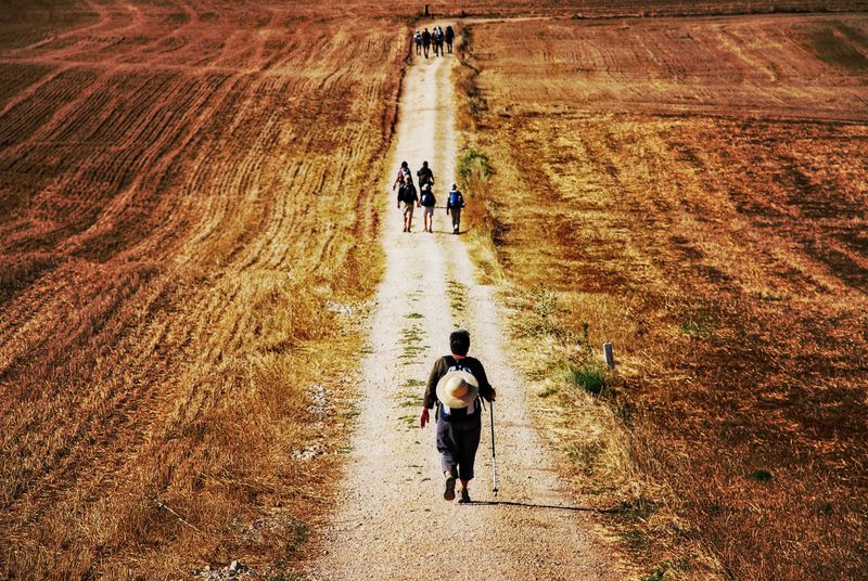 Camino de Santiago