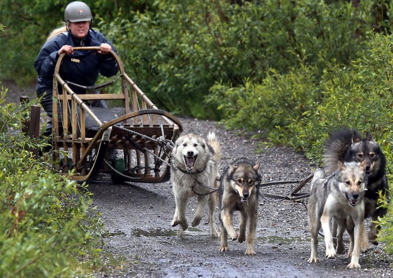 Denali National Park