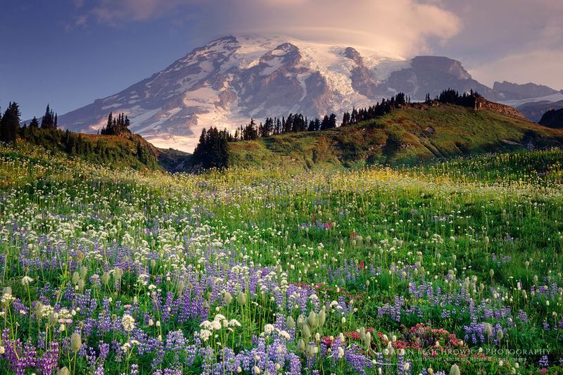 Mount Rainier National Park