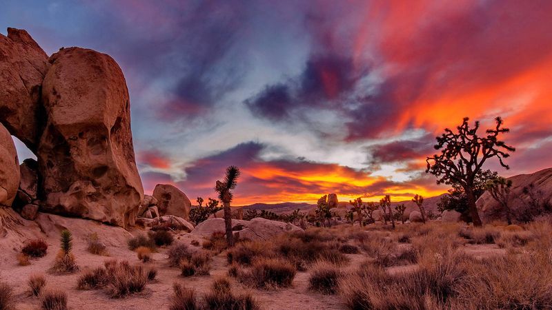 Joshua Tree National Park, California