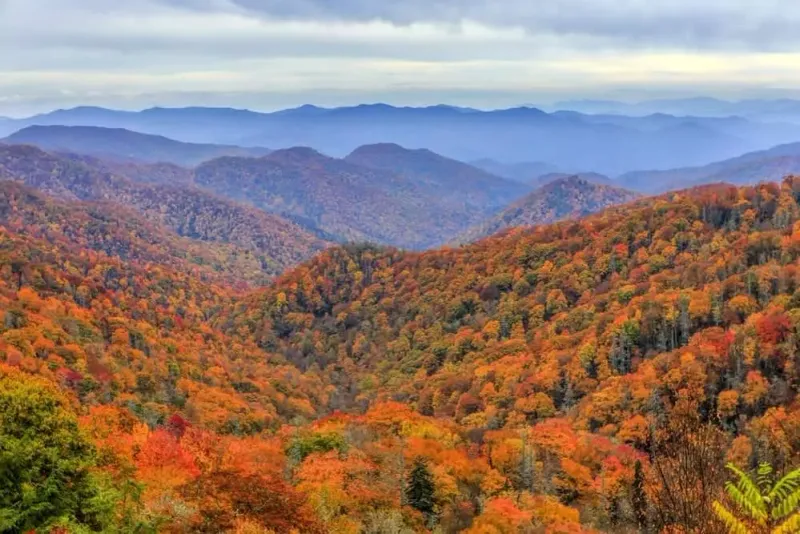 Great Smoky Mountains National Park