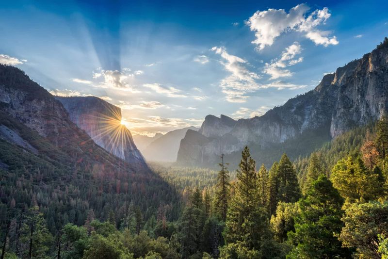 California: Yosemite National Park
