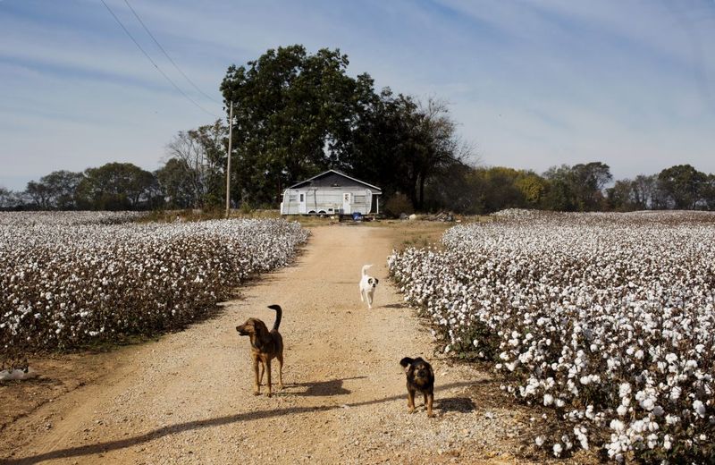 Mississippi