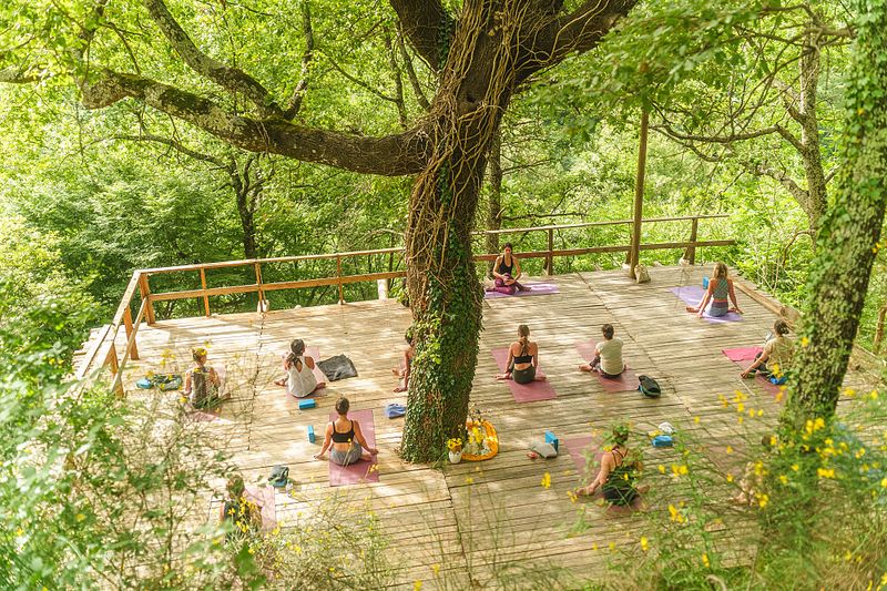 Wellness Retreats