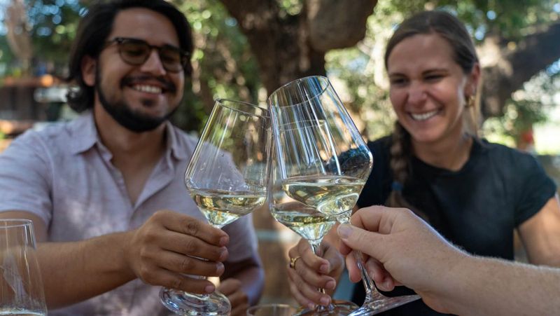 Innovative Wine Tasting Experiences