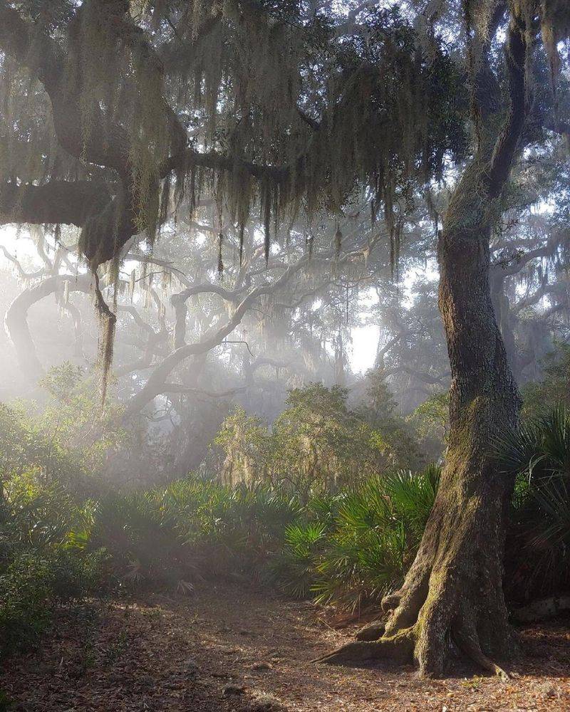 Cumberland Island