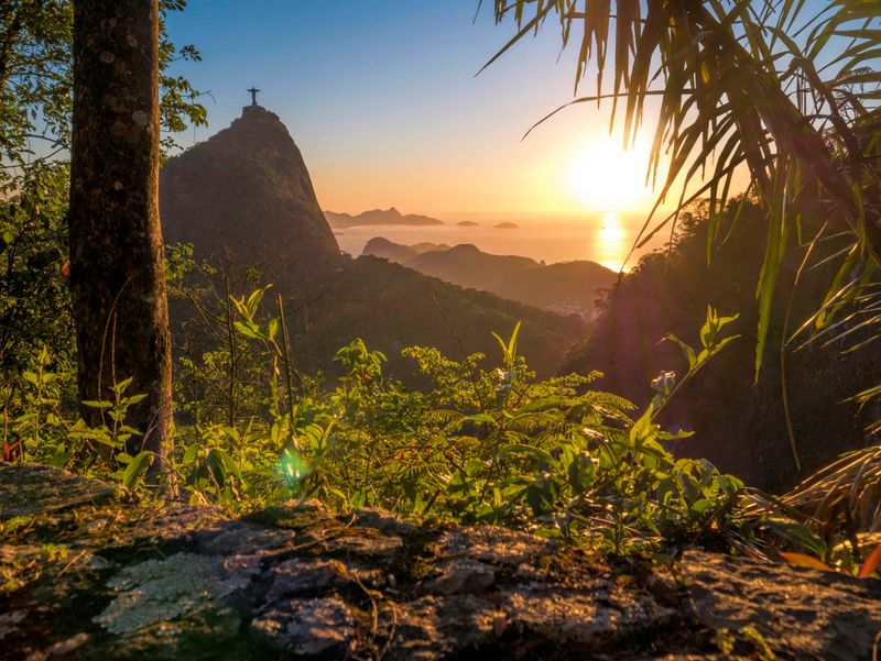 Explore Tijuca National Park