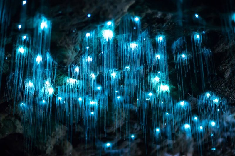 Whispering Caves, New Zealand