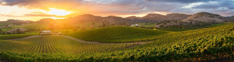 Napa Valley, California