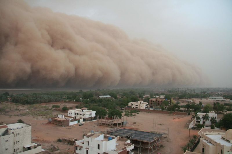 Desert Dust Storm