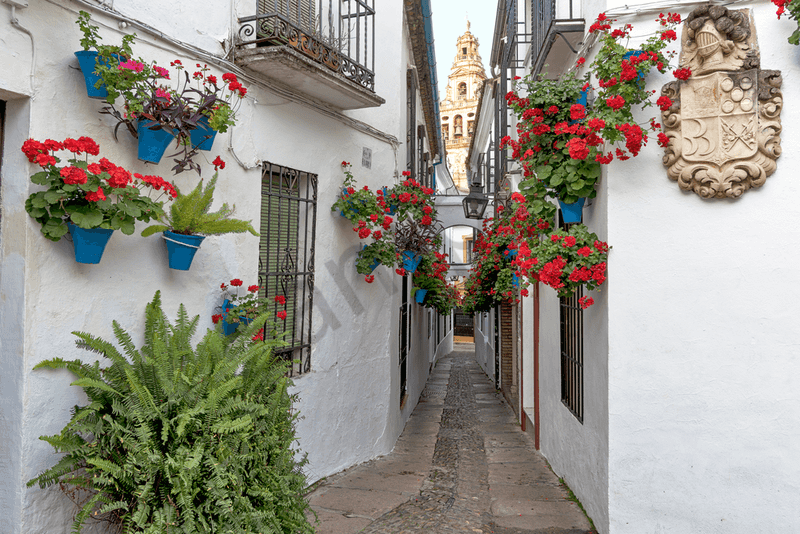 Calleja de las Flores, Córdoba, Spain