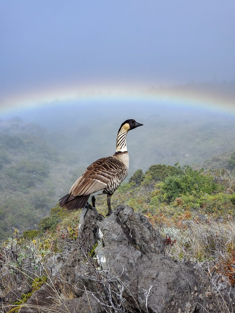 Haleakalā National Park, Hawaii