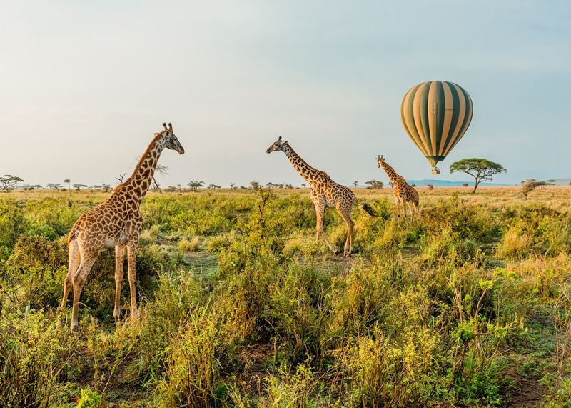 Serengeti, Tanzania