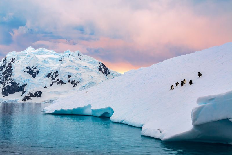 Antarctica