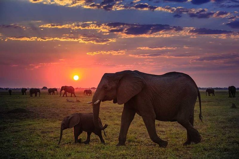 Kruger National Park