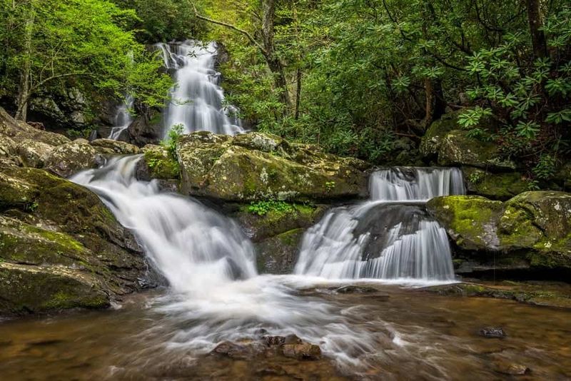 Great Smoky Mountains National Park
