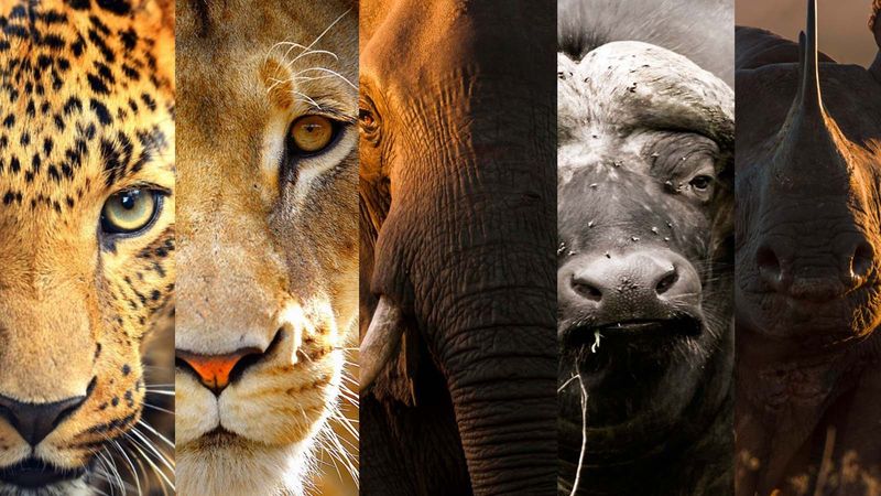 Kruger National Park