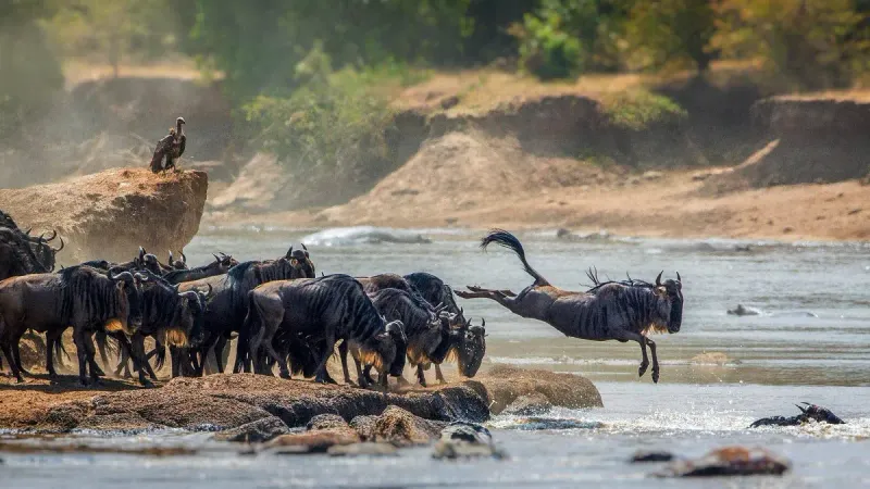 Serengeti National Park
