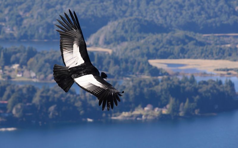 El Cóndor National Park