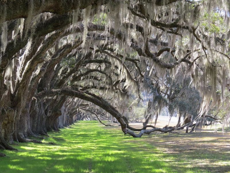Beaufort, South Carolina